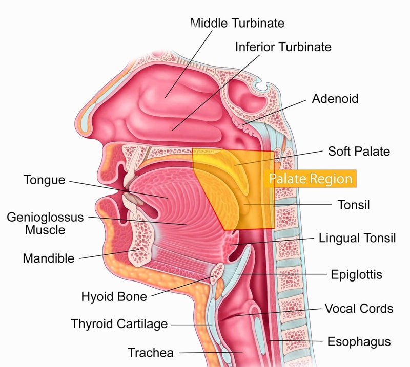 best-ear-nose-throat-in-coimbatore