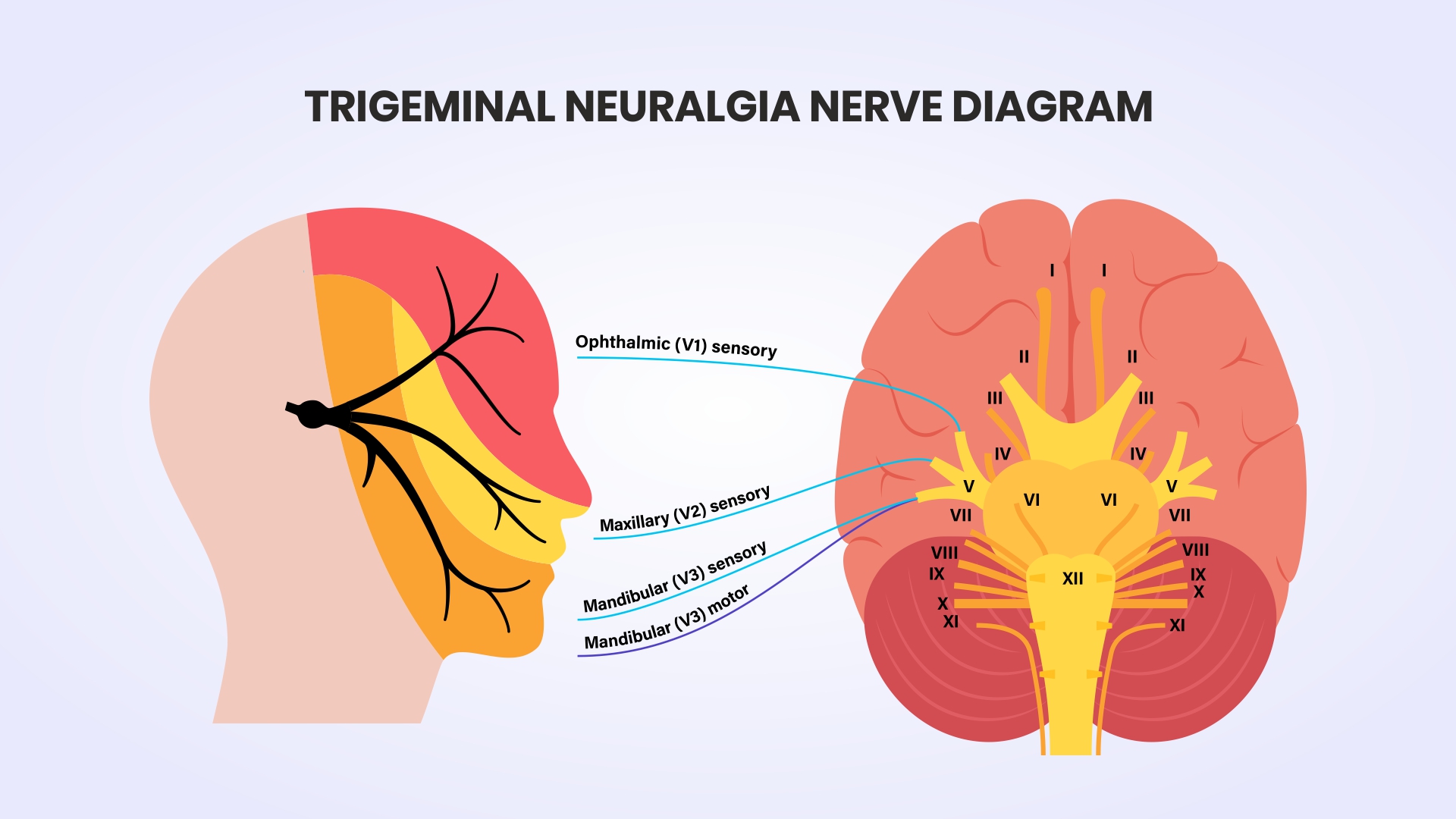 Trigeminal Neuralgia Treatment In Coimbatore KG Hospital Trigeminal Neuralgia Treatment In Coimbatore KG Hospital